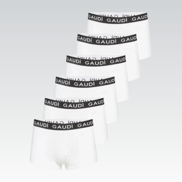 Gaudi bokserid, pakis 6 paari